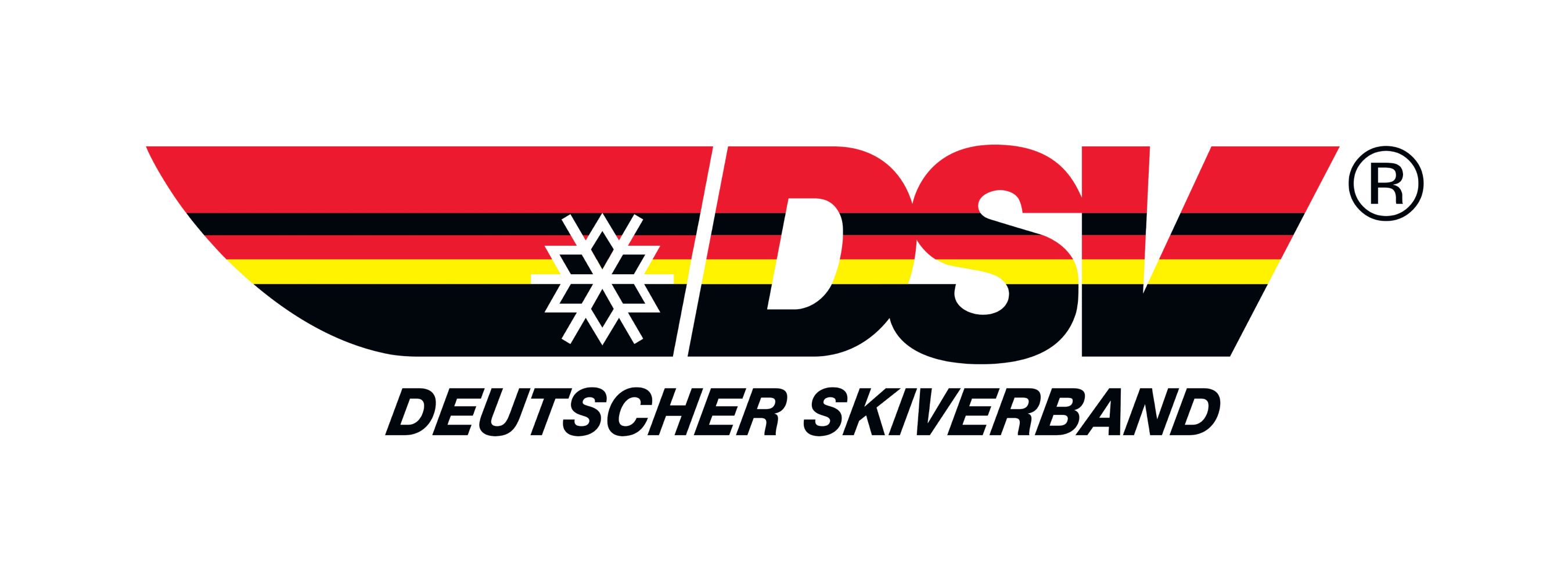 DSV_Logo_2020_Schriftzug_RGB_Schutzzone (1).jpg